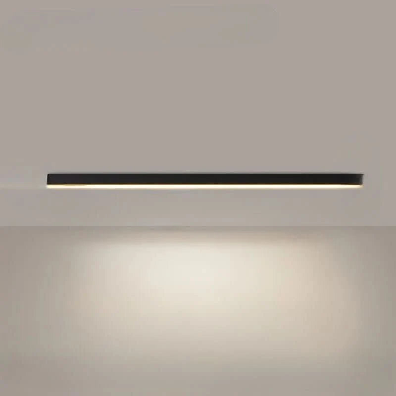 Ceiling Light Integrated LED Minimalist Dimmable With Remote Control