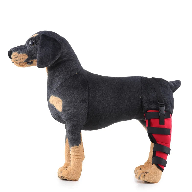 Dog Hind Leg Brace Stabilizing All-Season Support