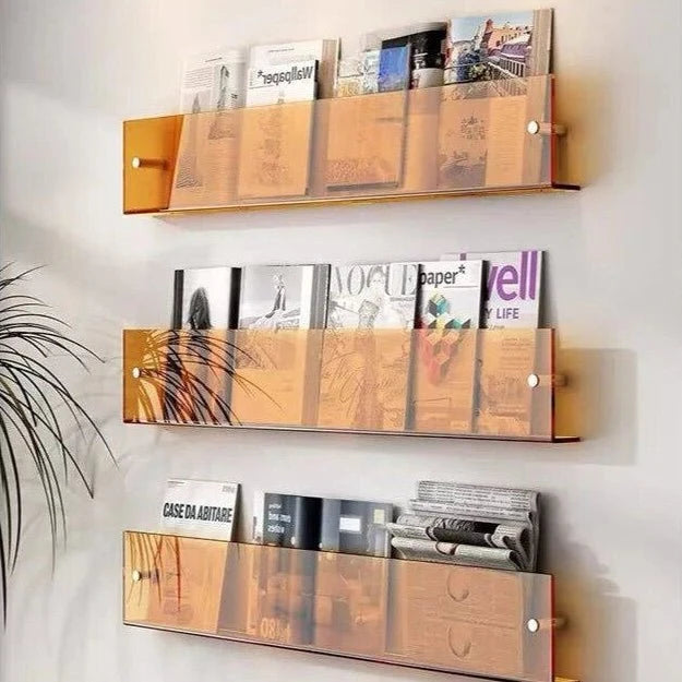 Magazine Holder Acrylic Wall-Mounted Space-Saving