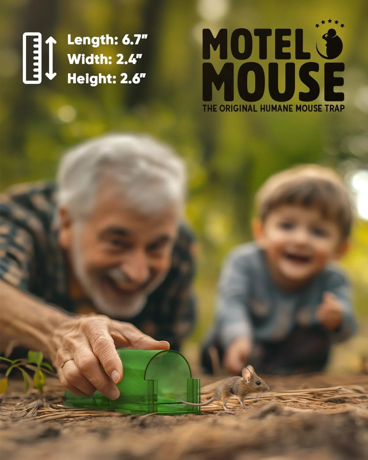 Mouse Trap Live Catch Reusable Transparent Set of 4