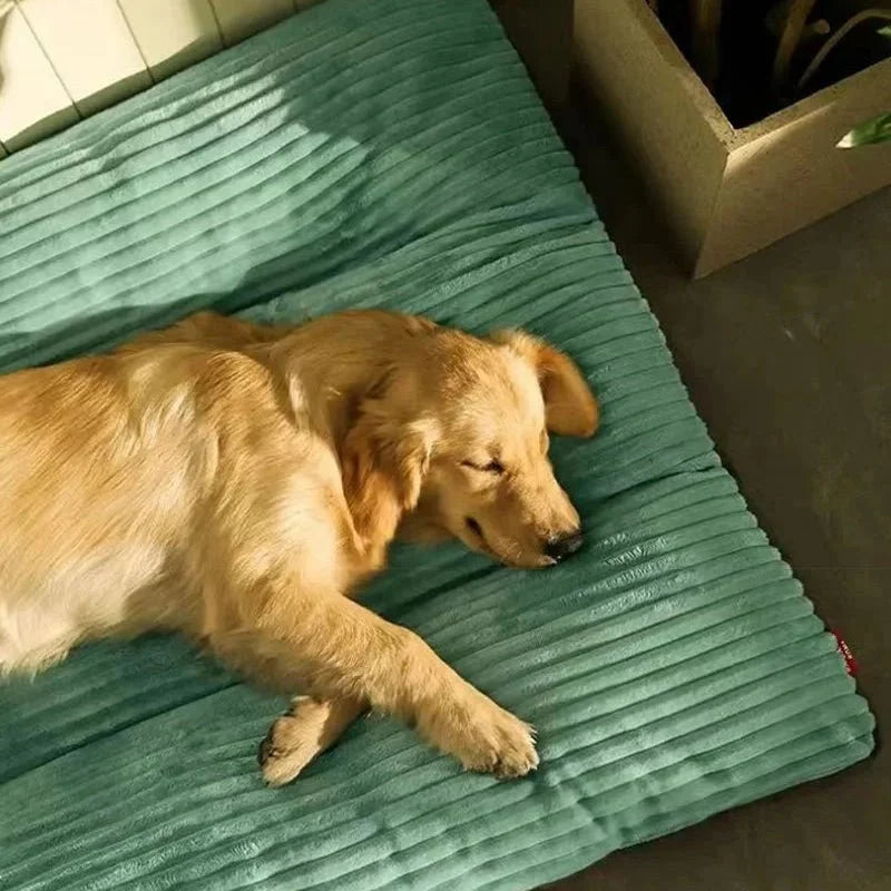 Orthopedic Dog Bed Fluffy Pressure-Relieving Support