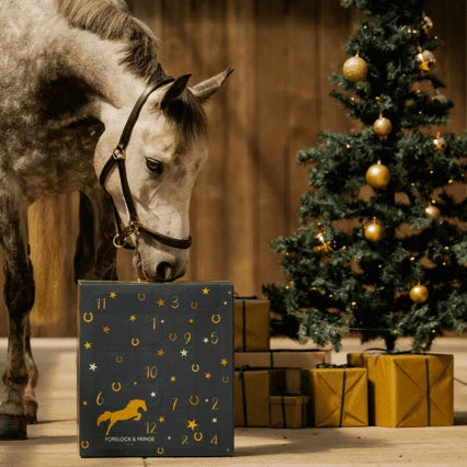 Advent Calendar Horse-Themed 24 Daily Surprises & Grooming Accessories