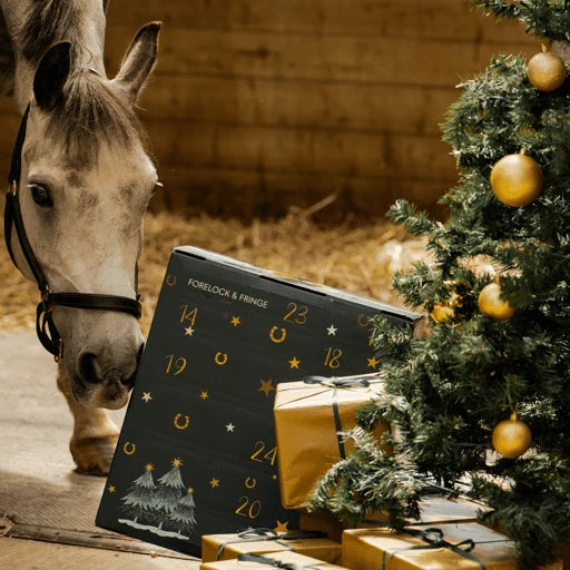 Advent Calendar Horse-Themed 24 Daily Surprises & Grooming Accessories