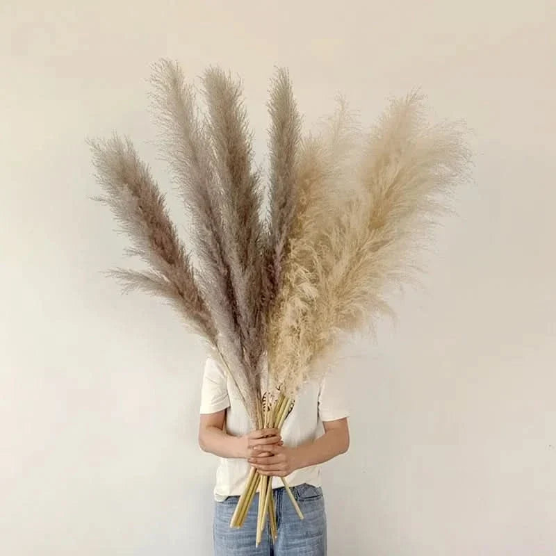 Artificial Pampas Grass Stems 25.6 Inch No Watering