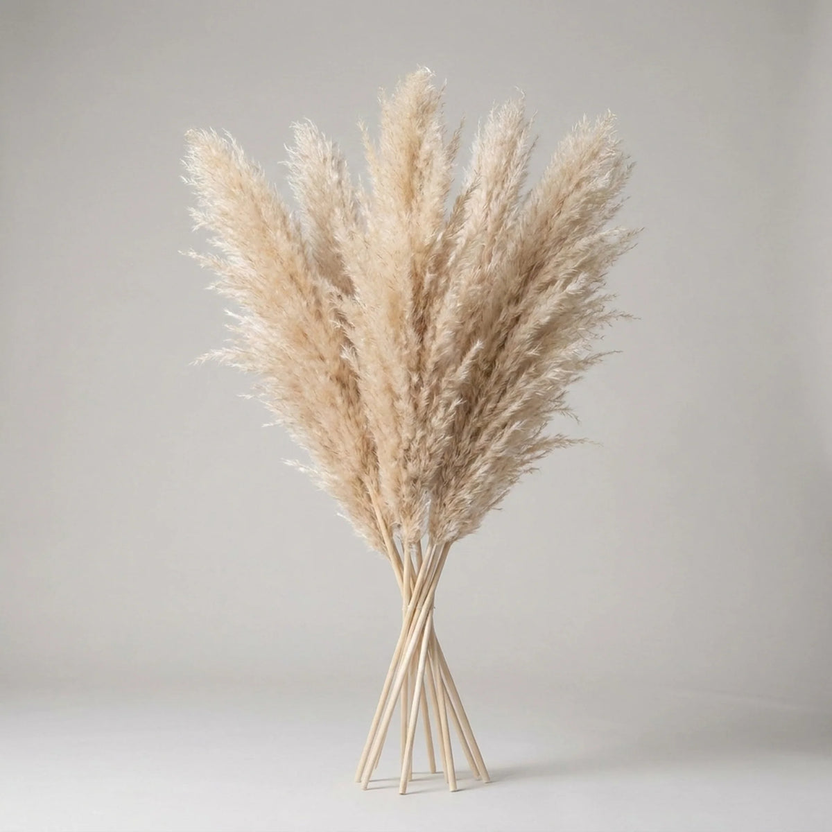 Artificial Pampas Grass Stems 25.6 Inch No Watering
