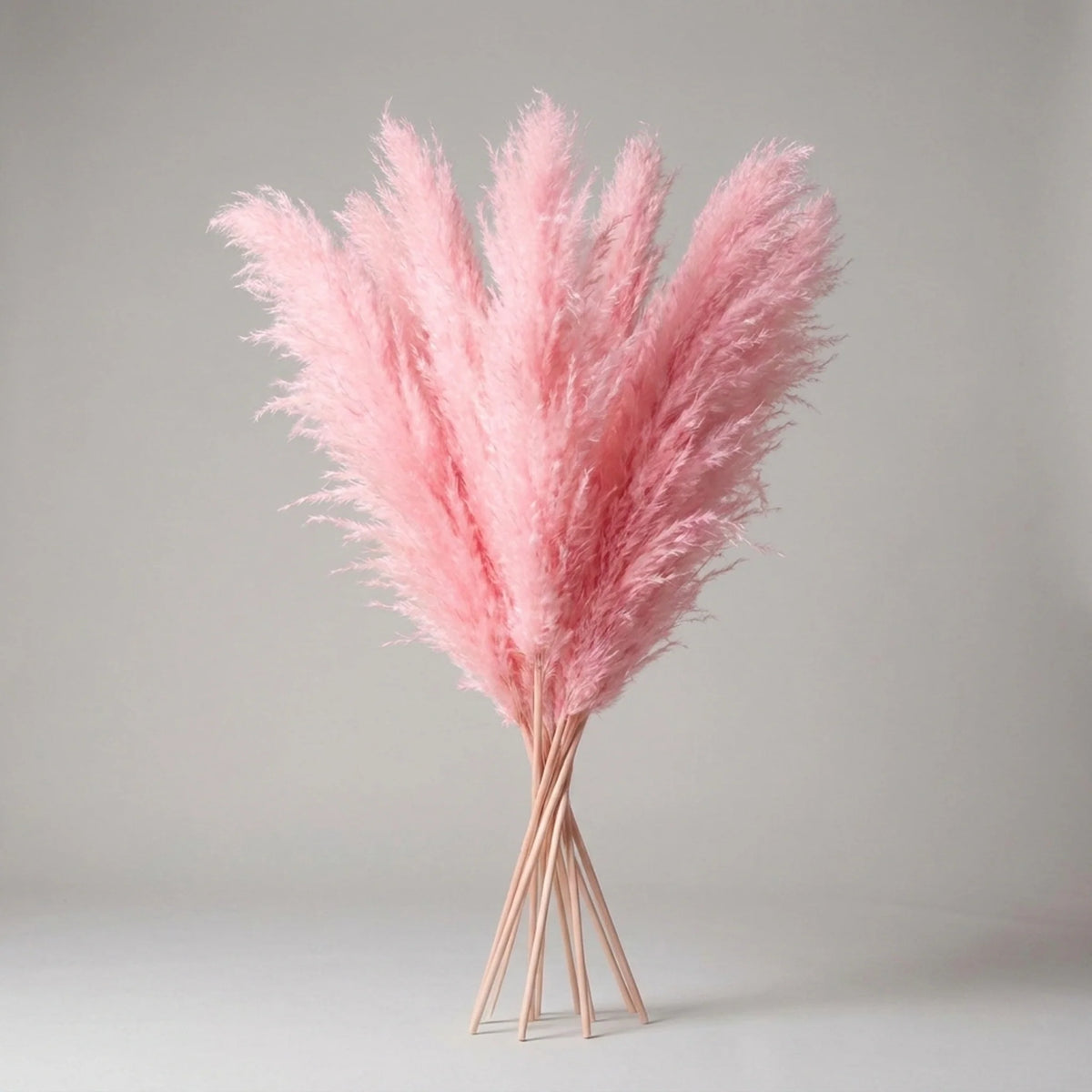 Artificial Pampas Grass Stems 25.6 Inch No Watering
