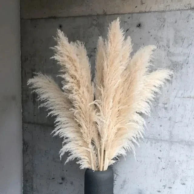 Artificial Pampas Grass Stems 25.6 Inch No Watering
