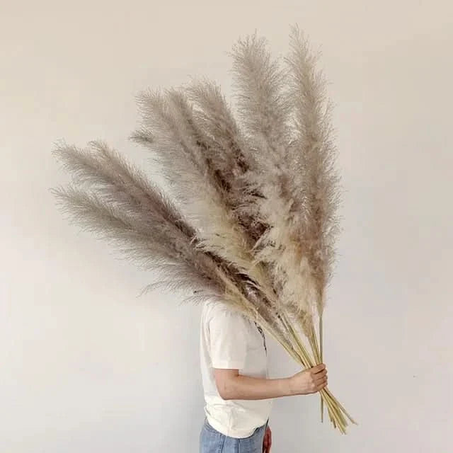 Artificial Pampas Grass Stems Feathery 25.6-Inch Length