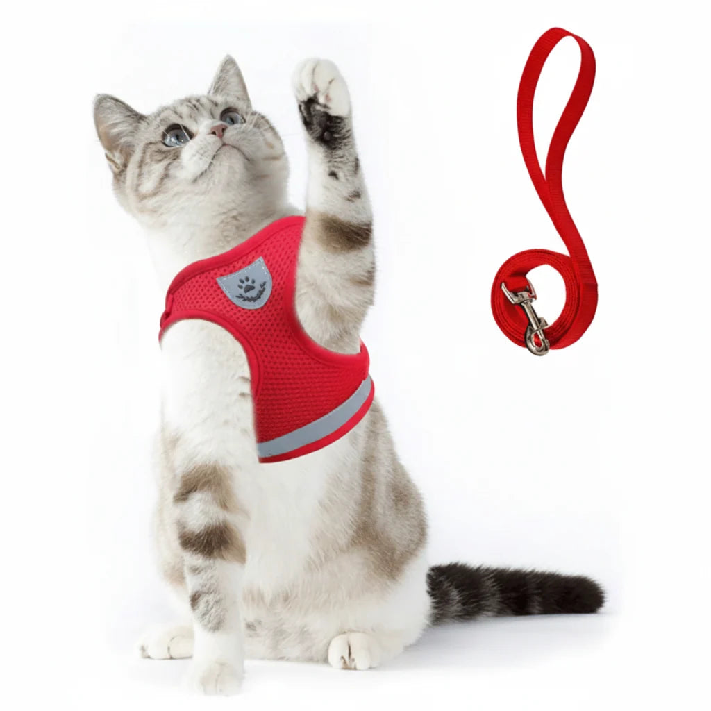 Cat Harness Escape-Resistant Adjustable Reflective With Leash Included