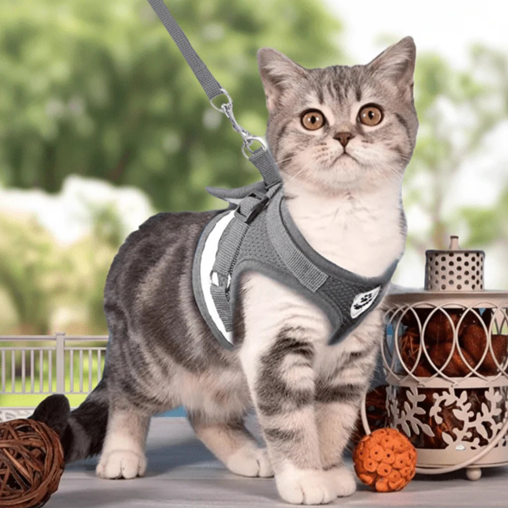 Cat Harness Escape-Resistant Adjustable Reflective With Leash Included