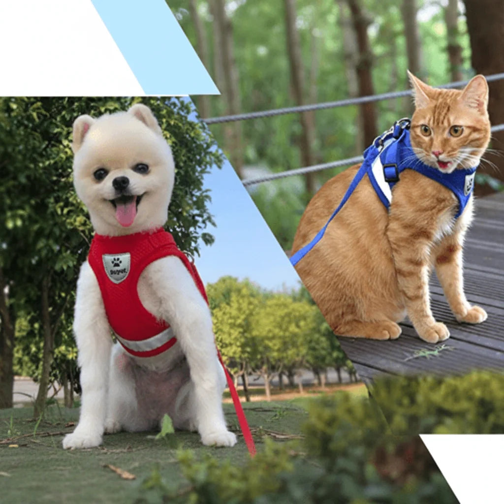 Cat Harness Escape-Resistant Adjustable Reflective With Leash Included