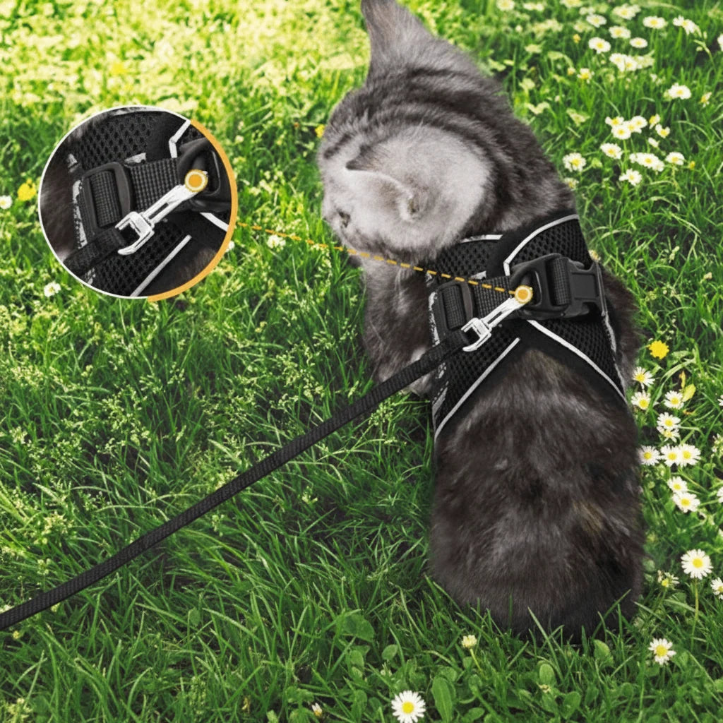 Cat Harness Escape-Resistant Adjustable Reflective With Leash Included