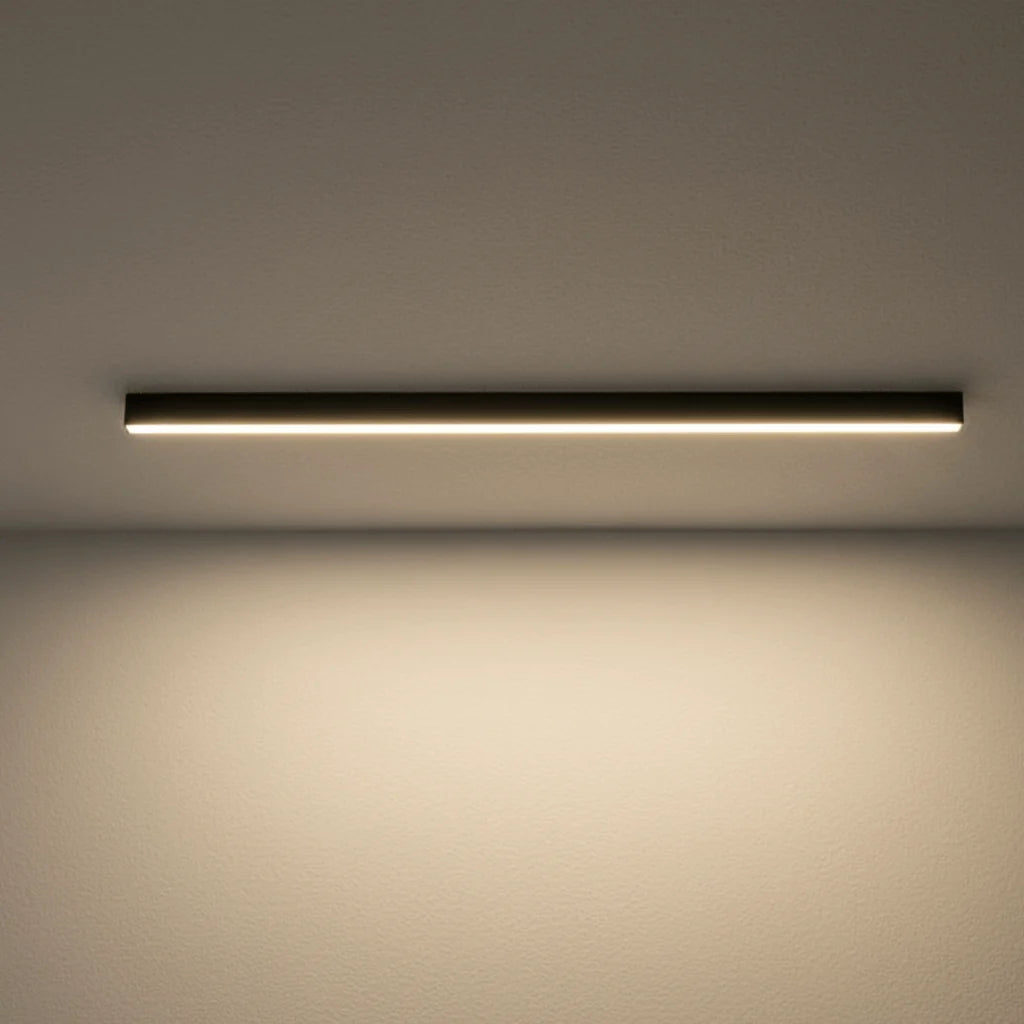 Ceiling Light Integrated LED Minimalist Dimmable With Remote Control