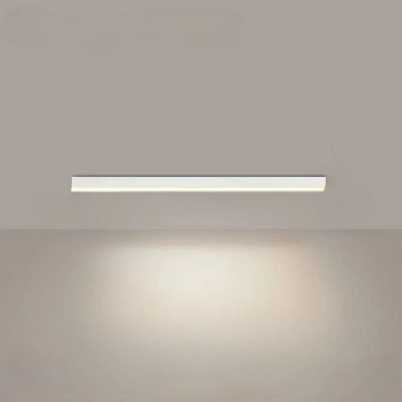 Ceiling Light Integrated LED Minimalist Dimmable With Remote Control