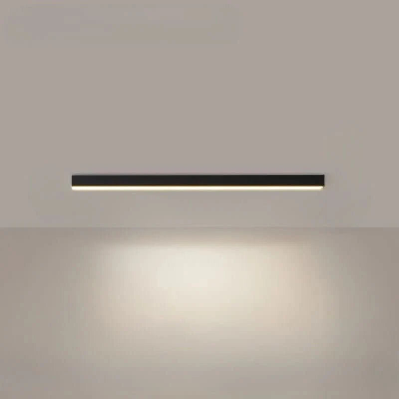 Ceiling Light Integrated LED Minimalist Dimmable With Remote Control