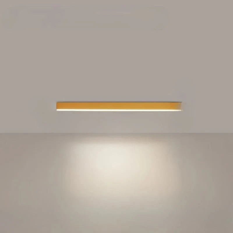 Ceiling Light Integrated LED Minimalist Dimmable With Remote Control