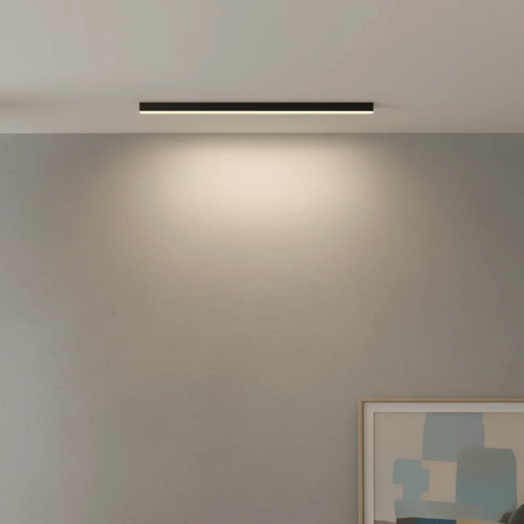 Ceiling Light Integrated LED Minimalist Dimmable With Remote Control