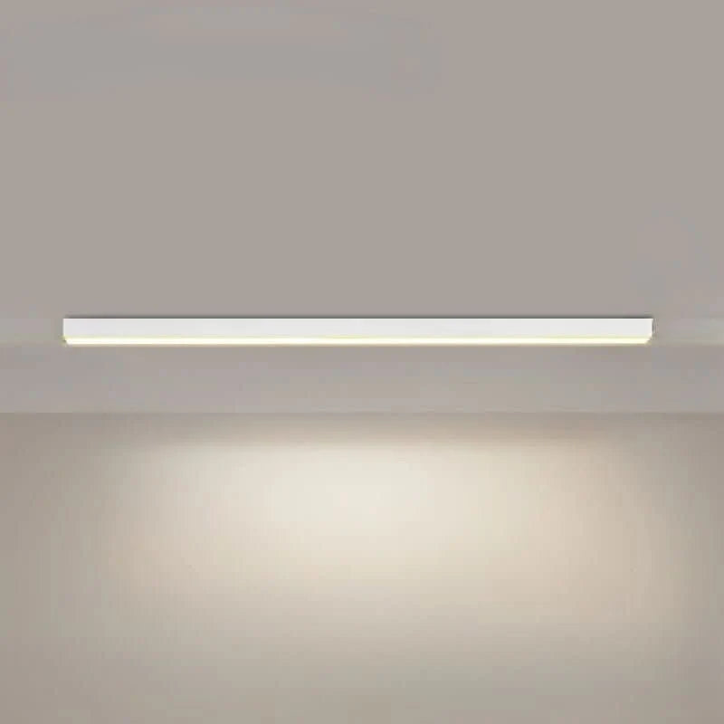 Ceiling Light Integrated LED Minimalist Dimmable With Remote Control