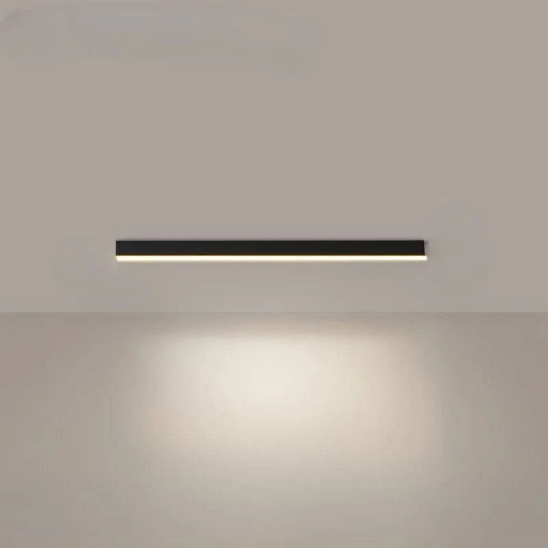 Ceiling Light Integrated LED Minimalist Dimmable With Remote Control