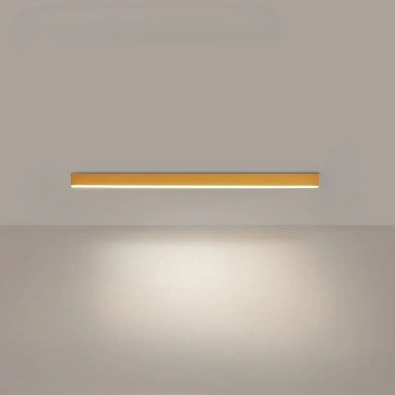 Ceiling Light Integrated LED Minimalist Dimmable With Remote Control