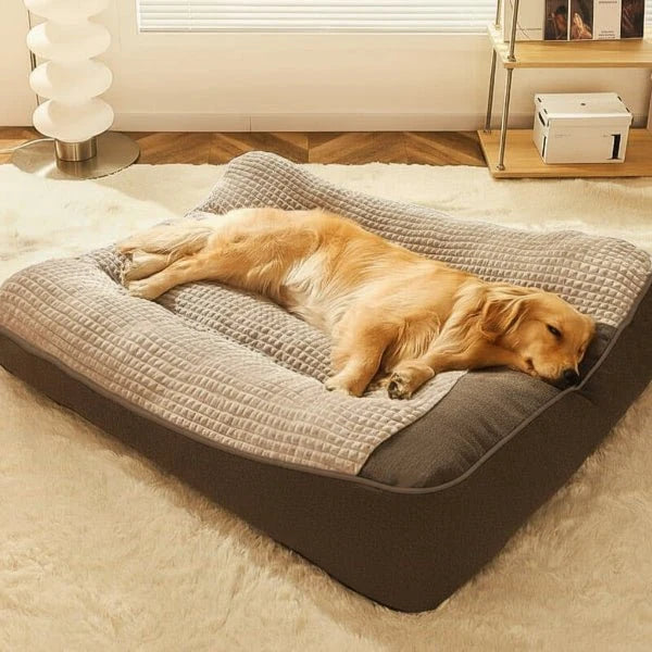 Dog Bed Orthopedic Bolster Removable Washable Cover Scratch-Resistant Exterior