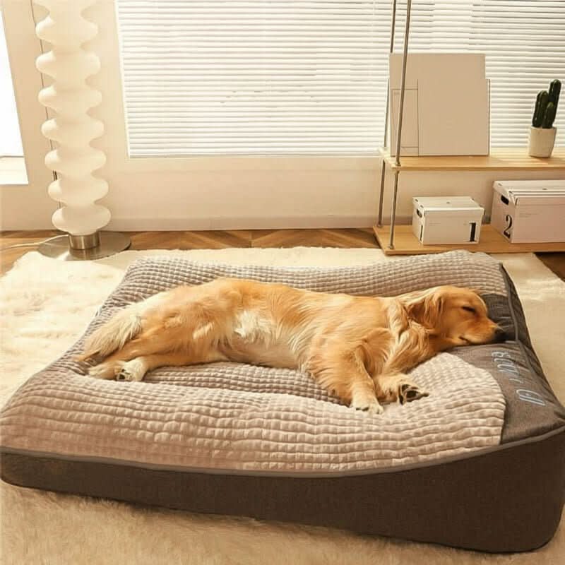 Dog Bed Orthopedic Joint Support Raised Neck Support Scratch-Resistant Surface