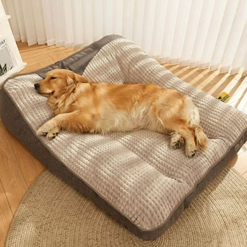 Dog Bed Orthopedic Joint Support Raised Neck Support Scratch-Resistant Surface