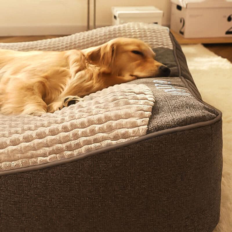 Dog Bed Orthopedic Joint Support Raised Neck Support Scratch-Resistant Surface