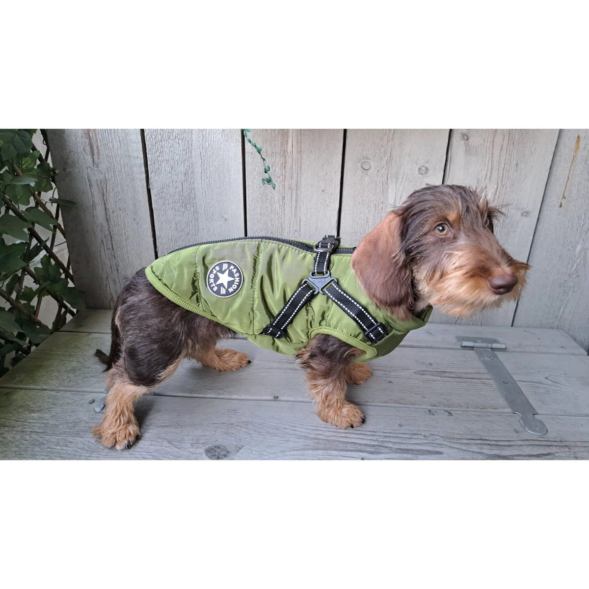 Dog Coat Padded Soft-Lined with Integrated Harness