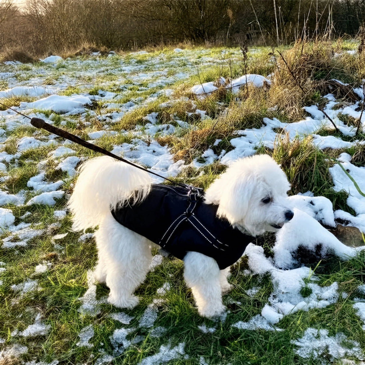 Dog Coat Padded Soft-Lined with Integrated Harness
