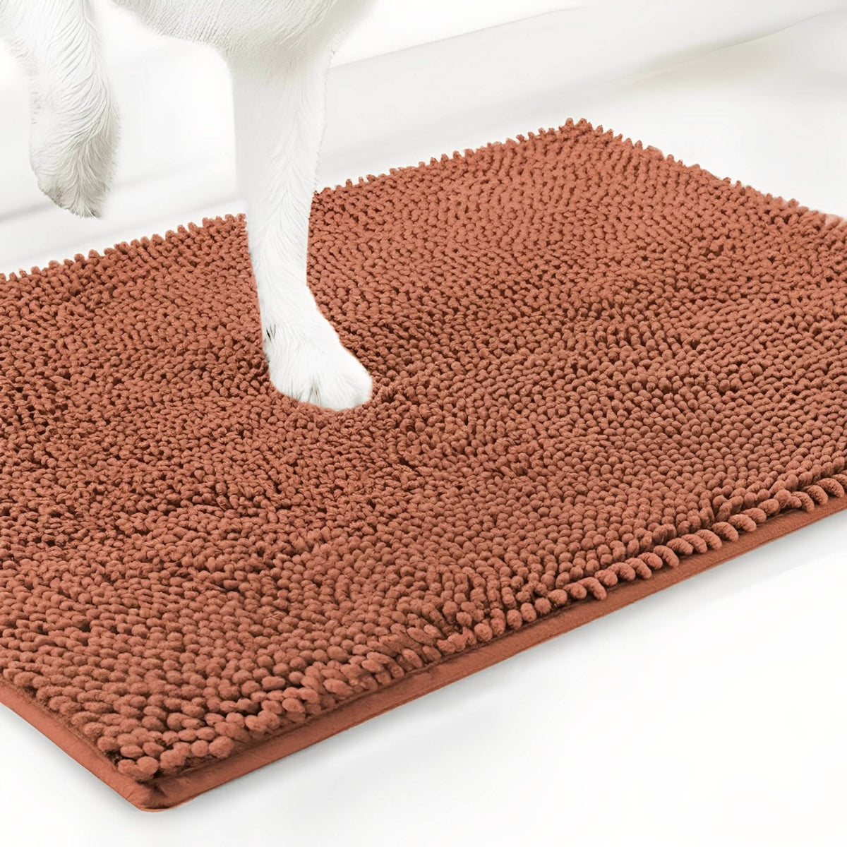 Dog Door Mat Absorbent Non-Slip Surface