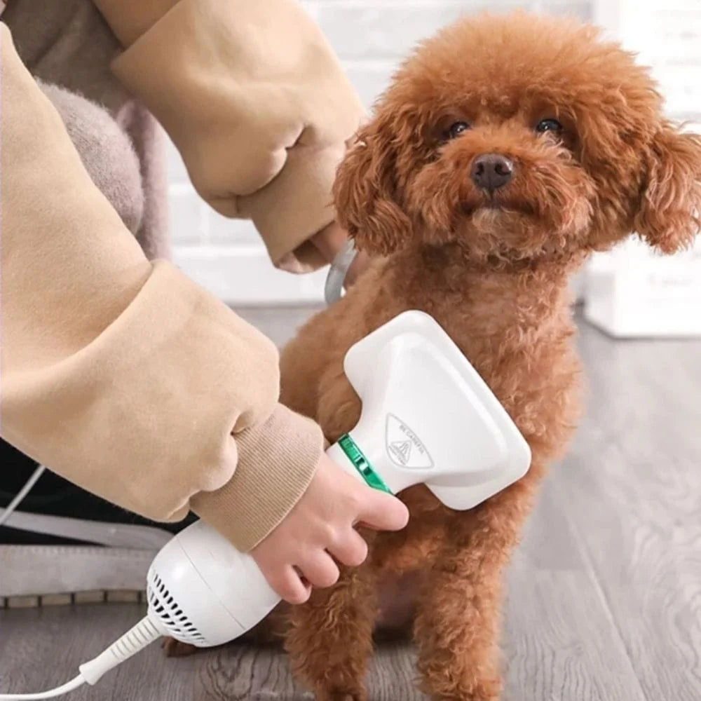 Dog Hair Dryer Brush 2-in-1 Quiet Drying & Detangling