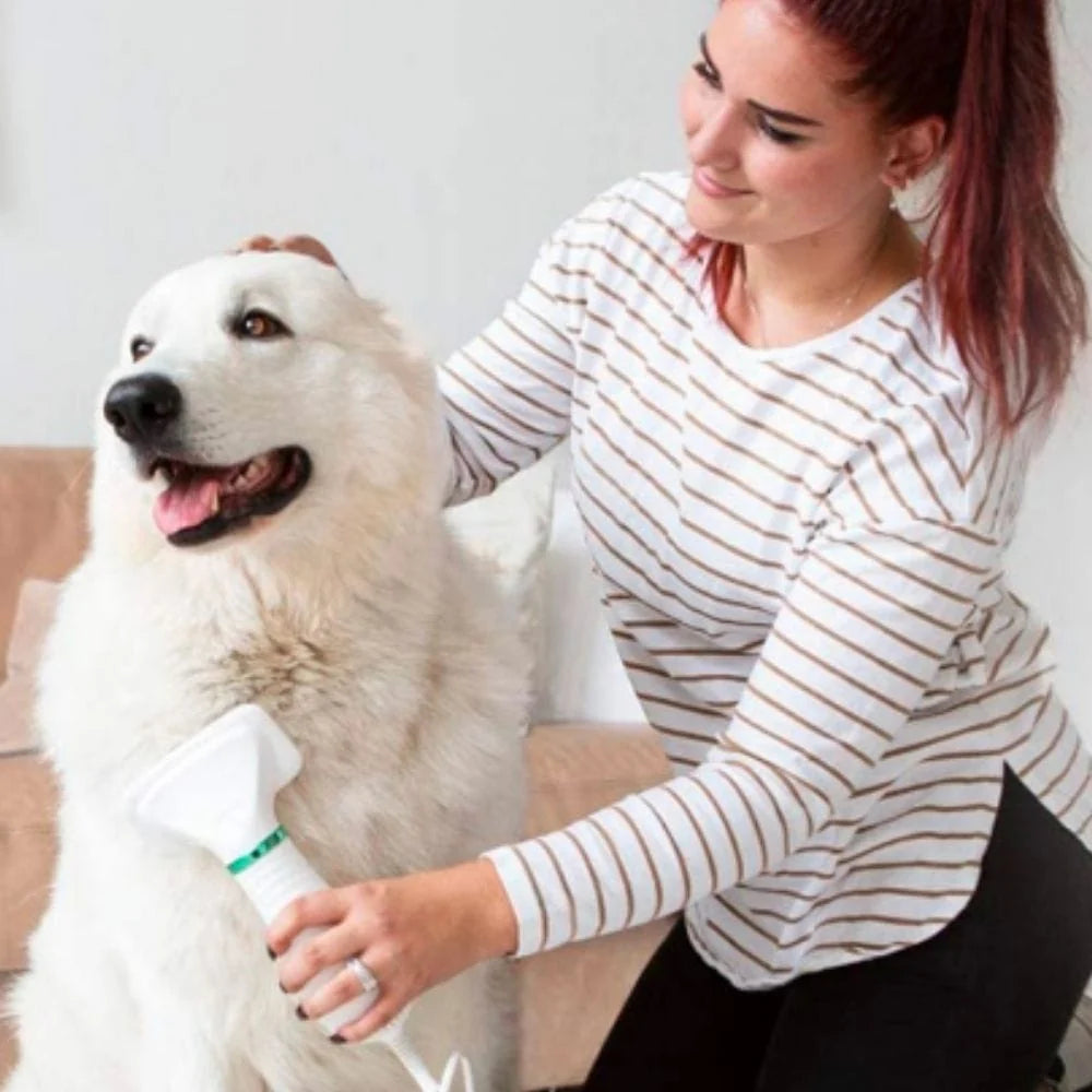 Dog Hair Dryer Brush 2-in-1 Quiet Drying & Detangling