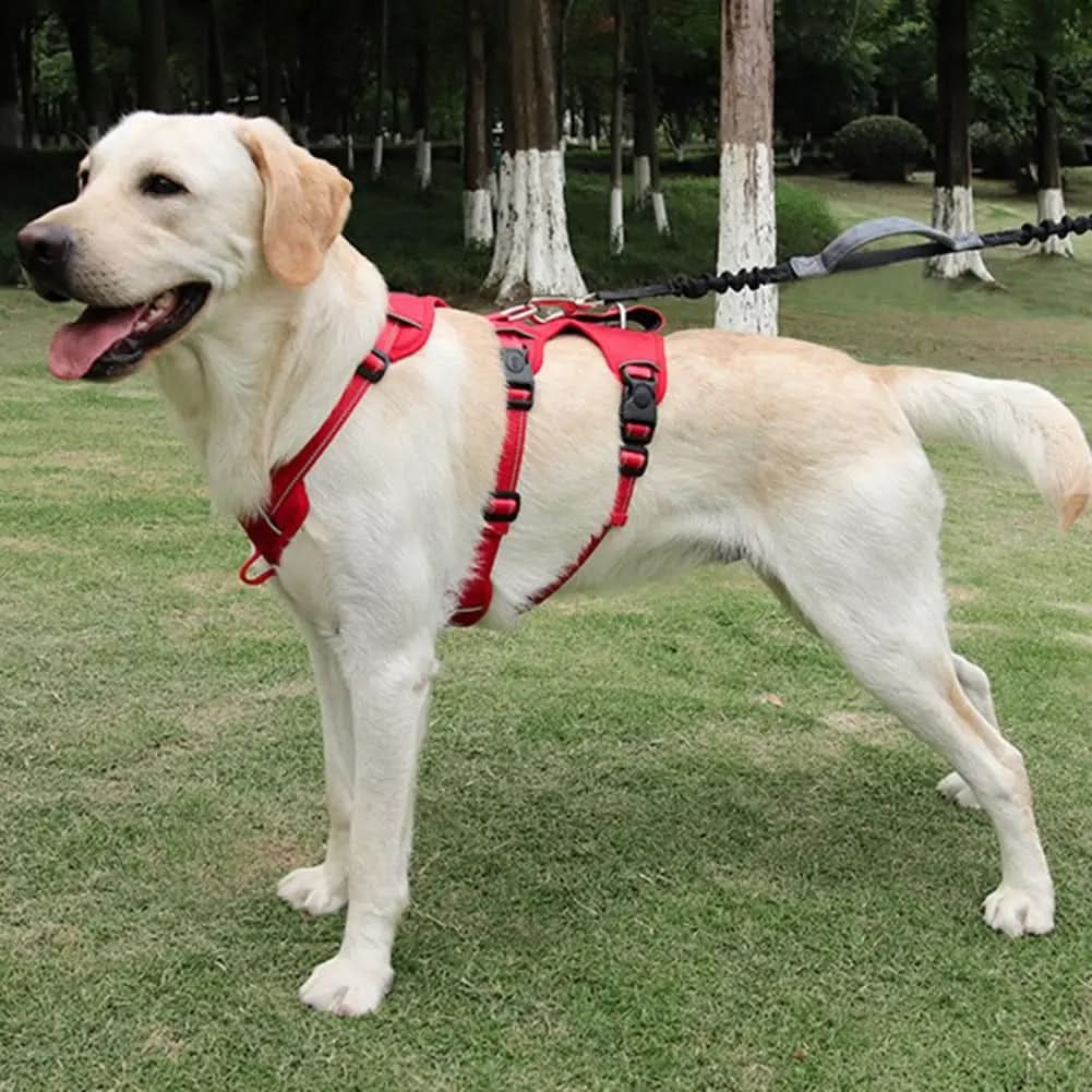 Dog Harness No-Pull Reflective Escape-Resistant