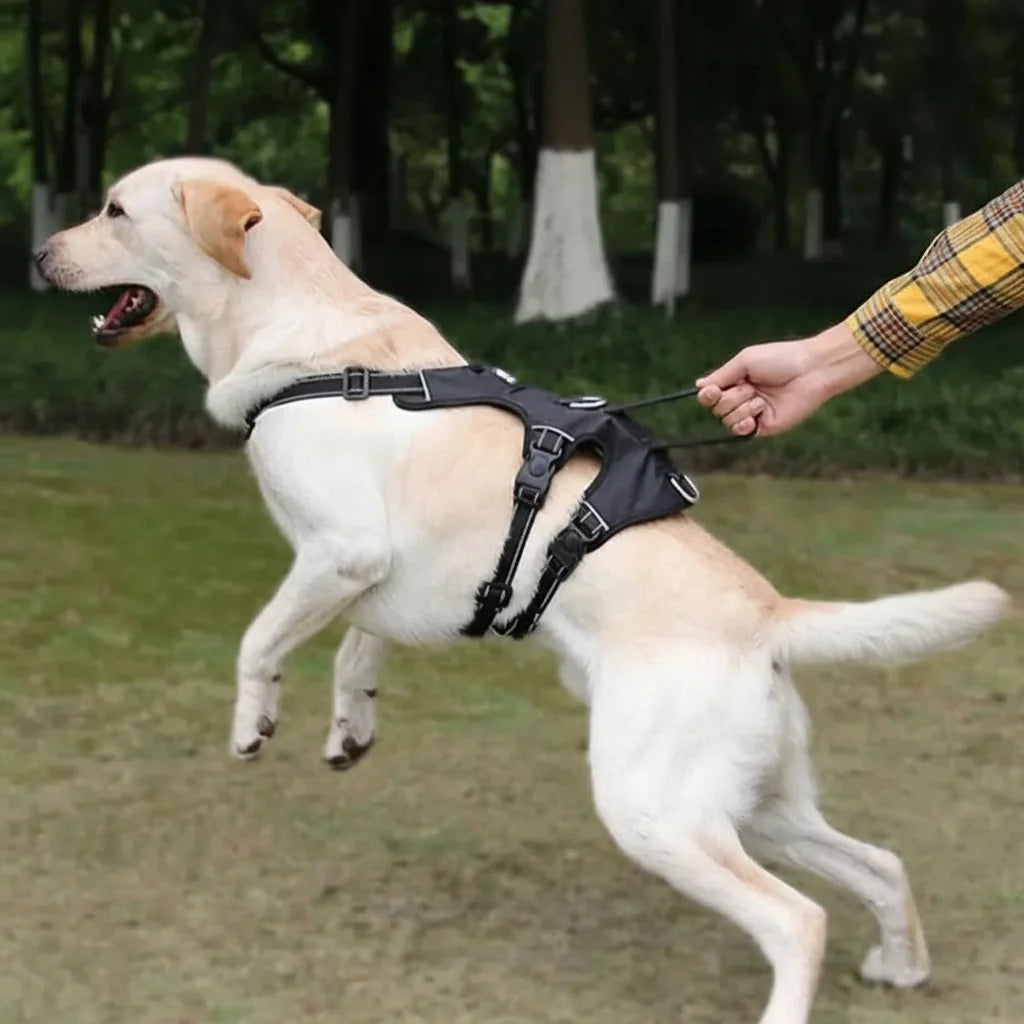 Dog Harness No-Pull Reflective Escape-Resistant