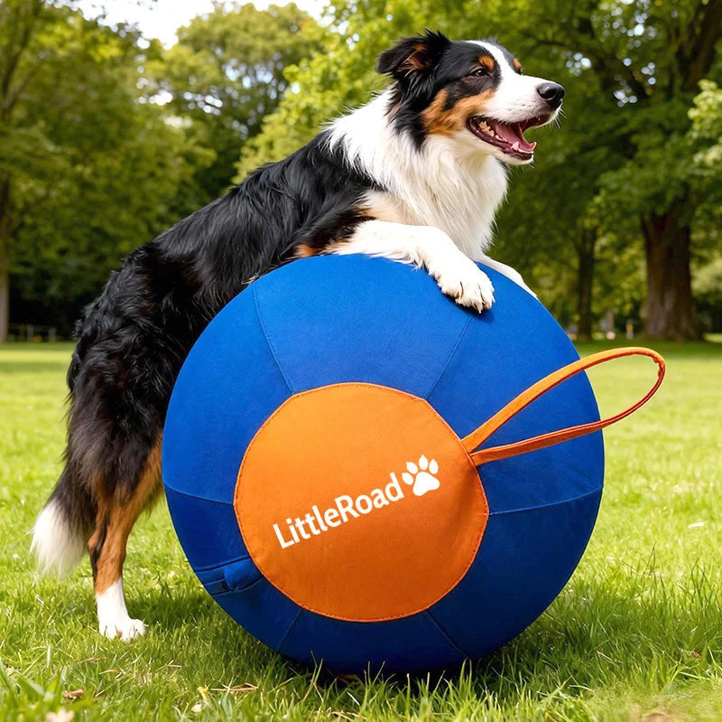Dog Herding Ball Puncture-Resistant Cover with Pump
