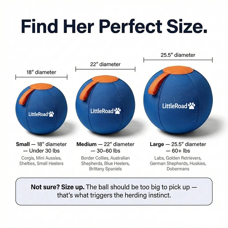 Dog Herding Ball Puncture-Resistant Cover with Pump