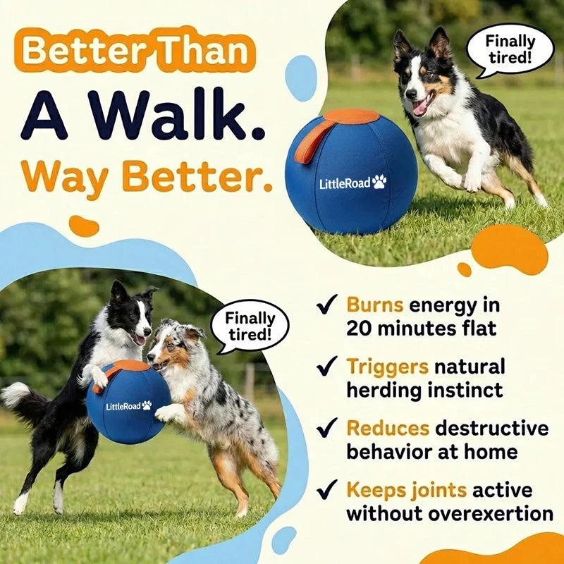 Dog Herding Ball Puncture-Resistant Cover with Pump