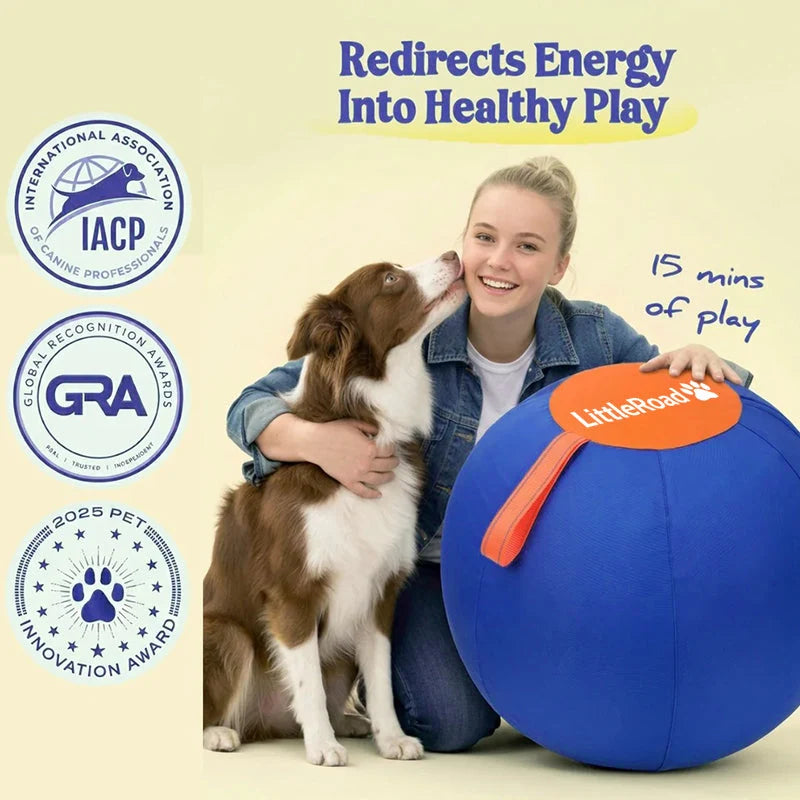 Dog Herding Ball Puncture-Resistant Cover with Pump