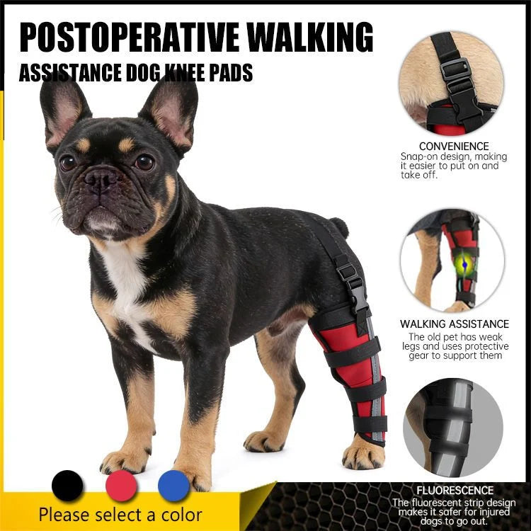 Dog Hind Leg Brace Stabilizing All-Season Support