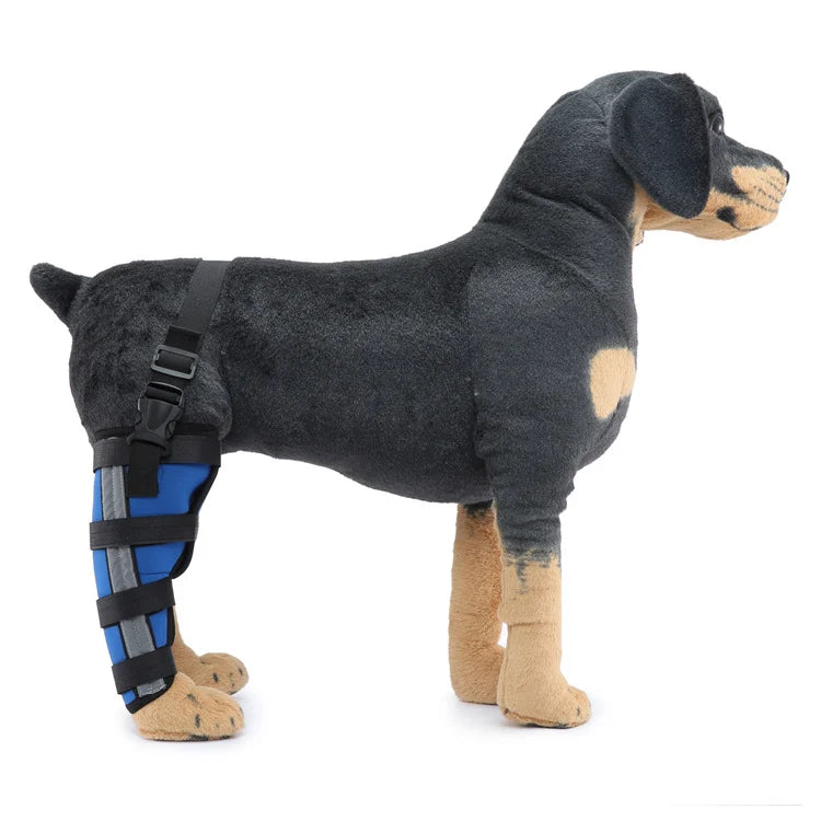 Dog Hind Leg Brace Stabilizing All-Season Support