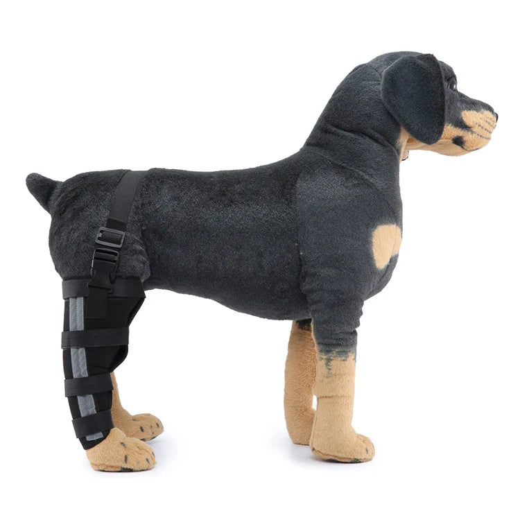Dog Hind Leg Brace Stabilizing All-Season Support