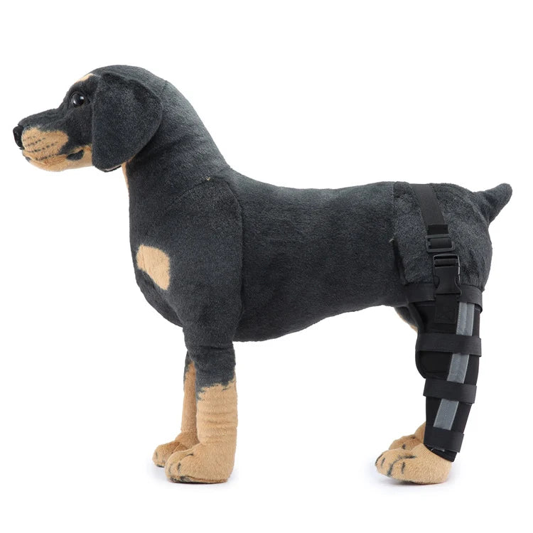 Dog Hind Leg Brace Stabilizing All-Season Support