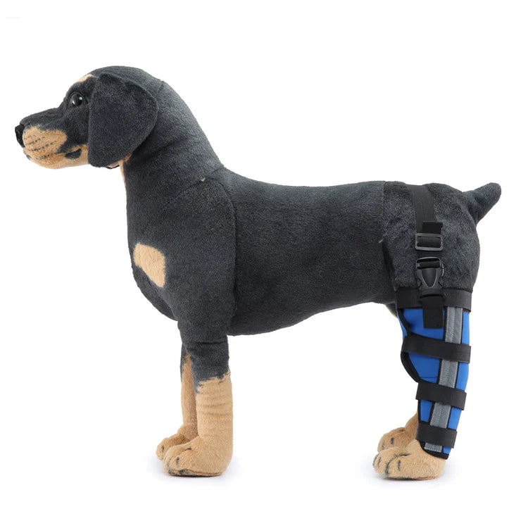 Dog Hind Leg Brace Stabilizing All-Season Support
