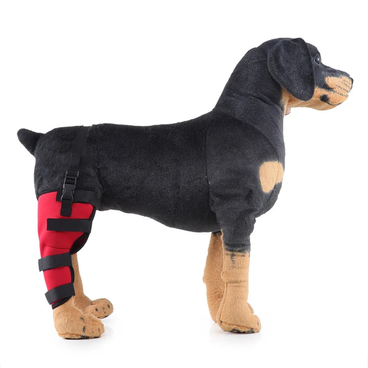 Dog Hind Leg Brace Stabilizing All-Season Support