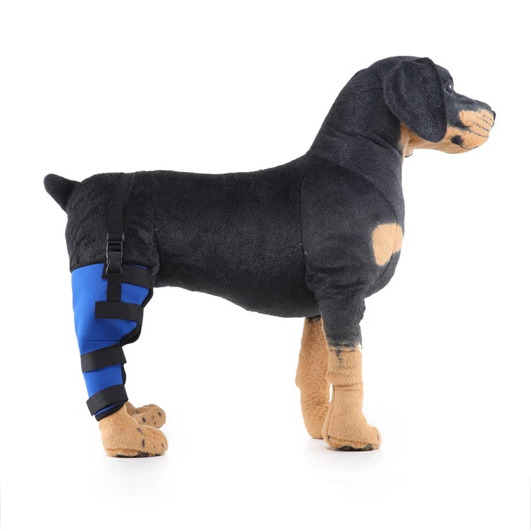 Dog Hind Leg Brace Stabilizing All-Season Support