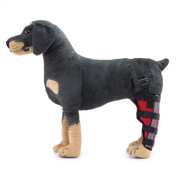 Dog Hind Leg Brace Stabilizing All-Season Support