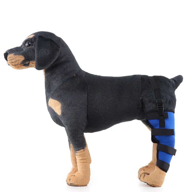 Dog Hind Leg Brace Stabilizing All-Season Support
