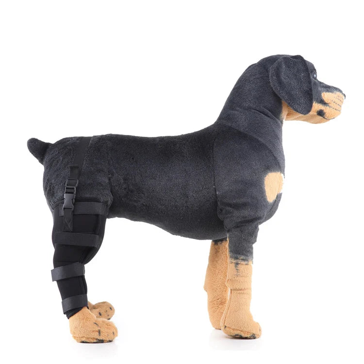 Dog Hind Leg Brace Stabilizing All-Season Support