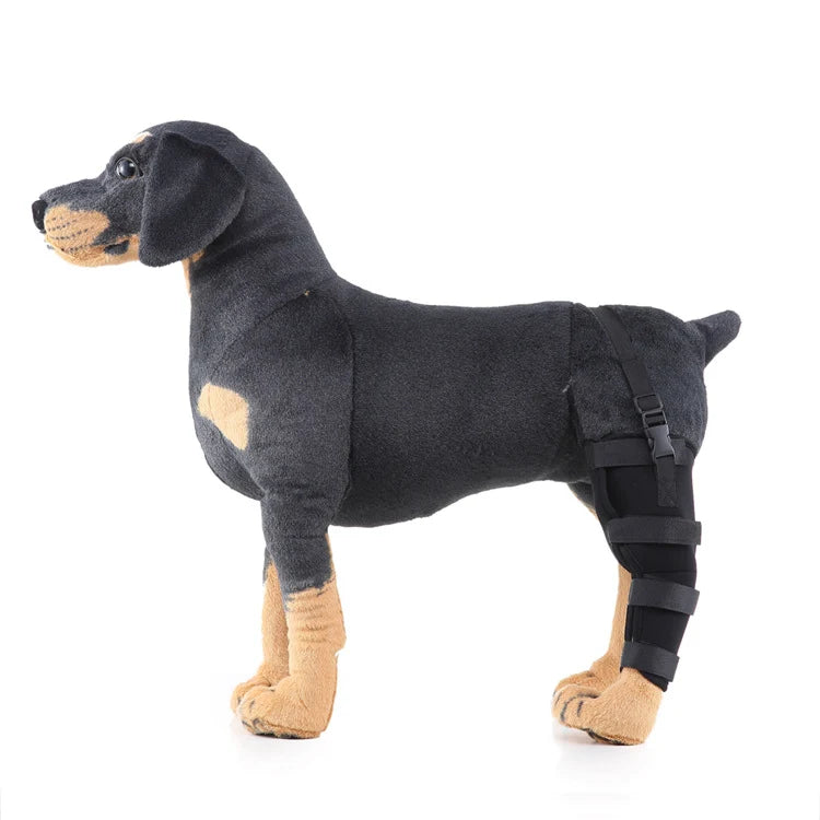 Dog Hind Leg Brace Stabilizing All-Season Support